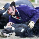Fernando Noailles